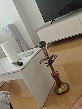 t-dog26 webcam