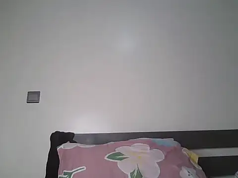 Alevic_ webcam