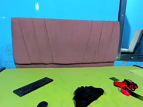 Nikol_lan webcam