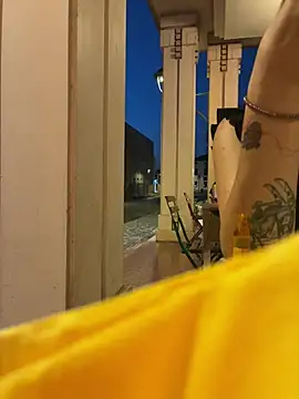 F0X89 webcam