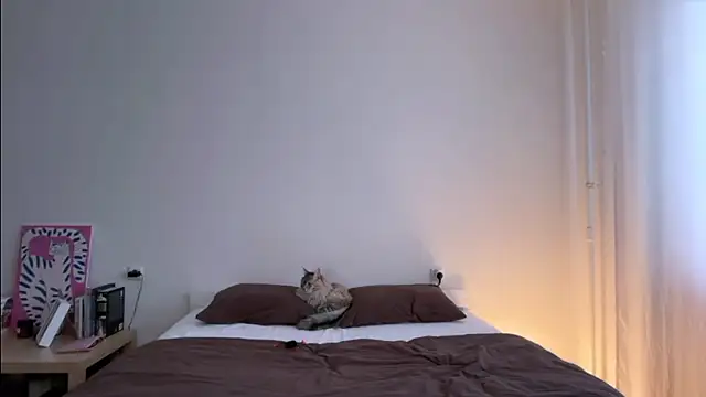 Milky___Way webcam