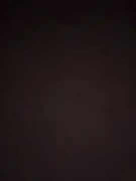lescookins webcam
