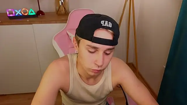 e1v1s webcam