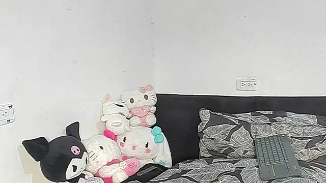 Eirlysx webcam