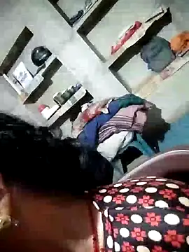 Loomaraj webcam