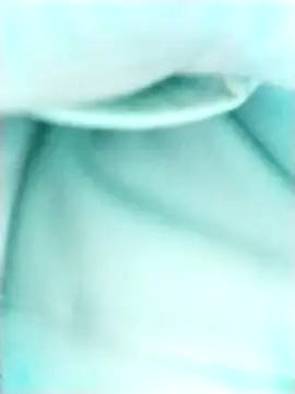 lamasrica20 webcam