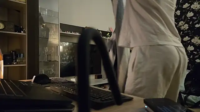 Vuitton webcam