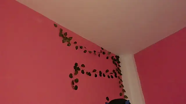CLAIRE_EMPIRE webcam