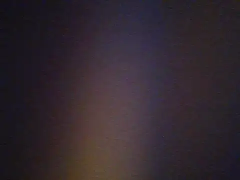 salimzw webcam