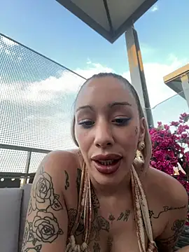 CHACHOULAND webcam