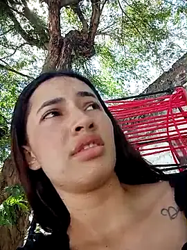 -Nicol webcam