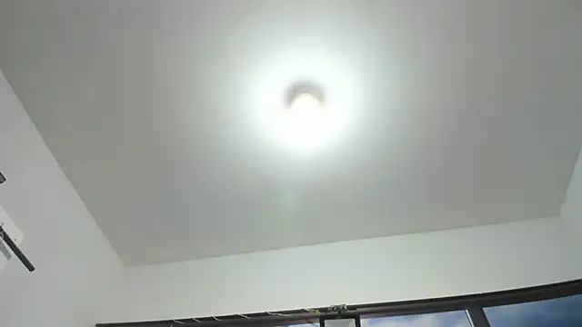 DilanAndKing webcam