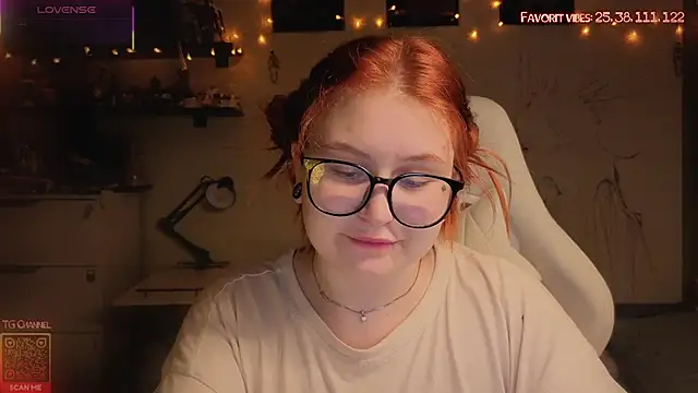 Link_OR webcam