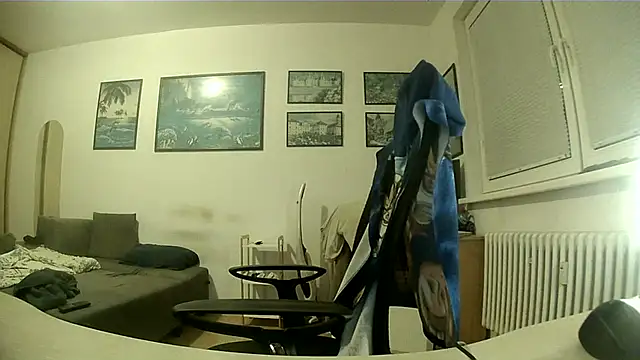 Robert_SK1 webcam