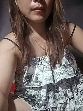 -Nibi- webcam