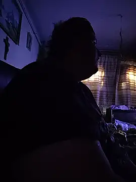 Havannabroklen2 webcam