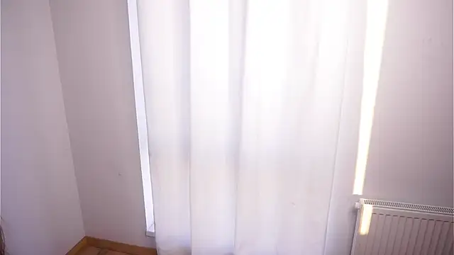 JiRylant webcam