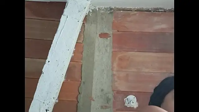 Cataleya_ja webcam