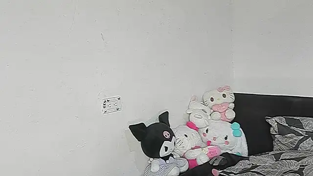 Eirlysx webcam