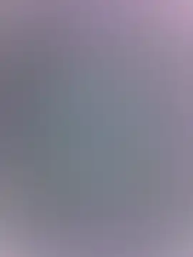 piggylatino webcam