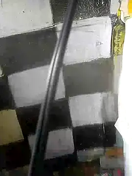 Wero4200 webcam