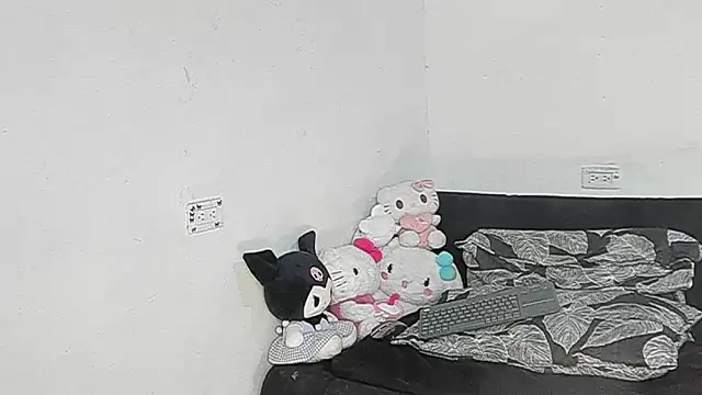 Eirlysx webcam