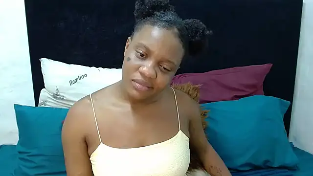 BaselBlues webcam