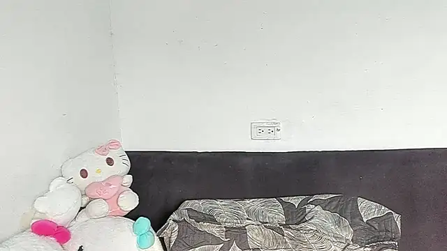Eirlysx webcam