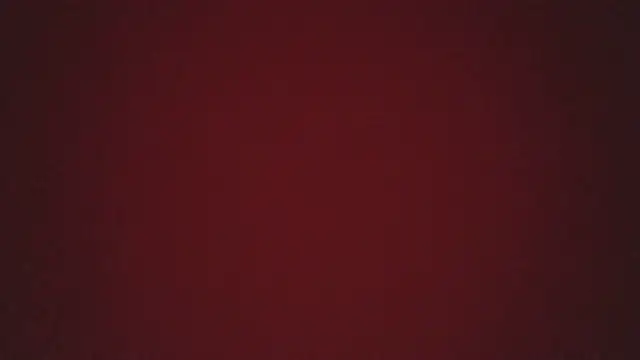 polloiw webcam