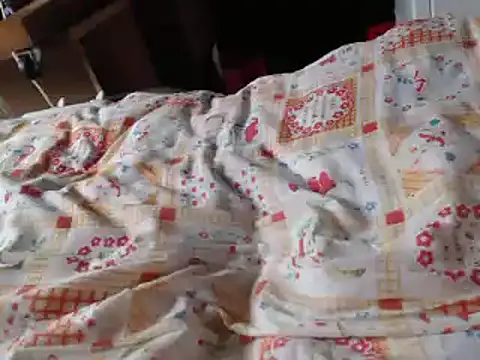 IMAGatMARK webcam