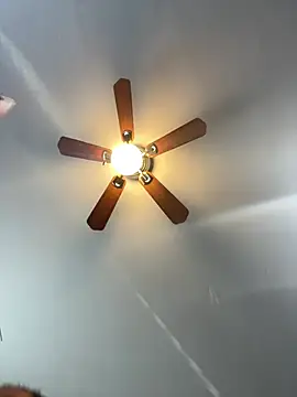 ExoticBlue-Butterfly webcam