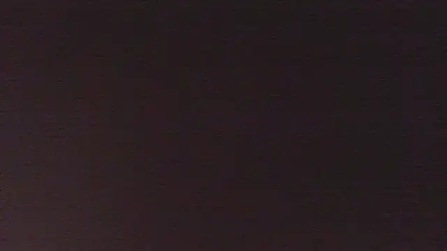 3littles webcam