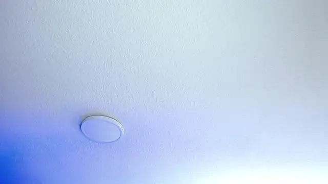 _Charlotte_Collins_ webcam