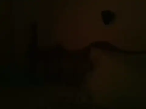bbccol1 webcam