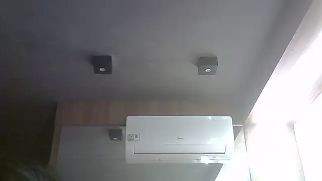 SkinnyKitten webcam