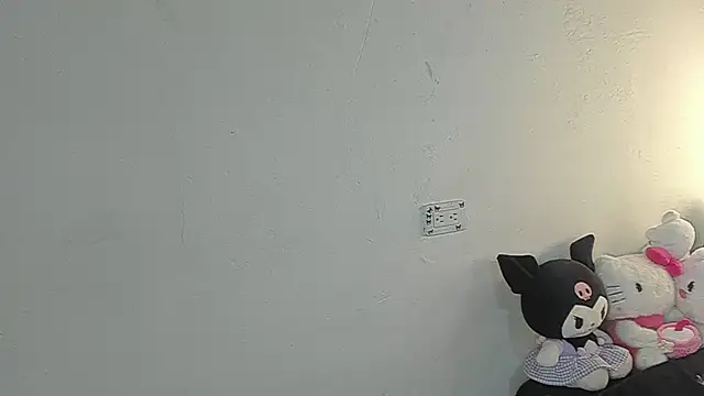 Eirlysx webcam