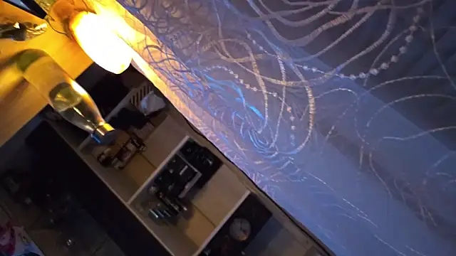 Vuitton webcam