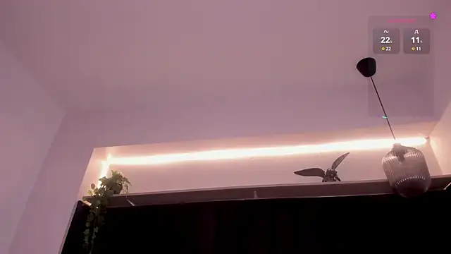Isa_dumont webcam