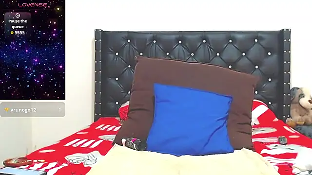 AnySugar webcam