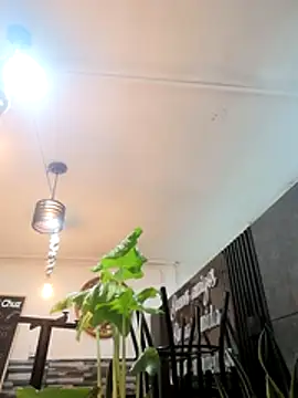 Zarinamoon webcam