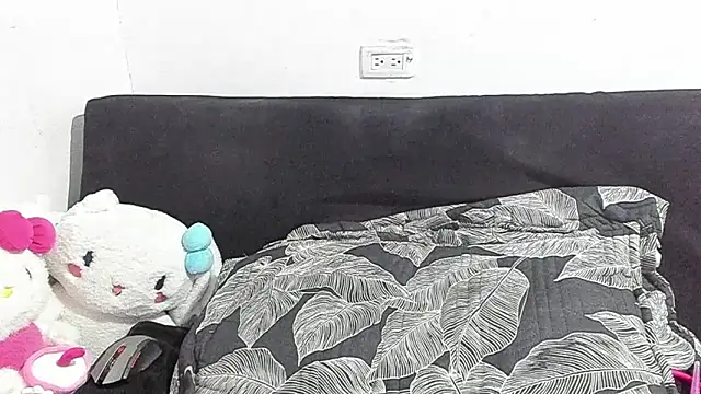 Eirlysx webcam