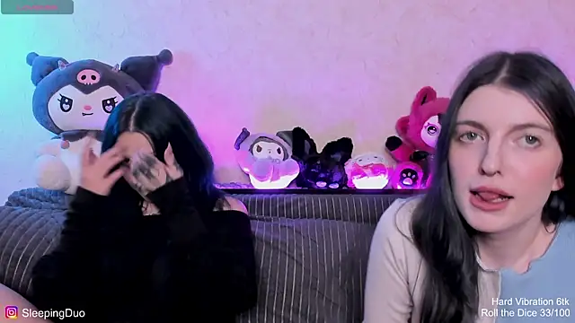 SleepingDuo webcam