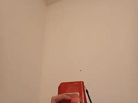 DesertedMonoxide webcam