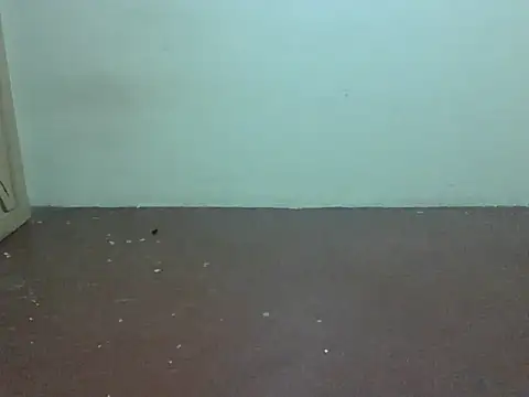 Midnightnova1 webcam