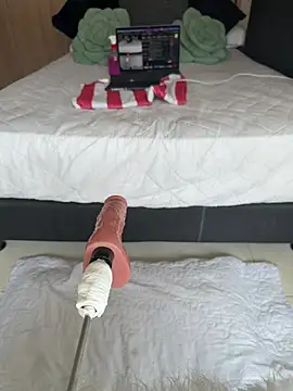Nicollemays webcam