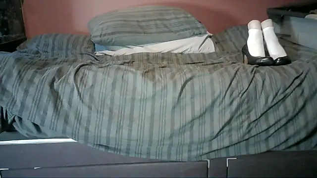 mole800 webcam