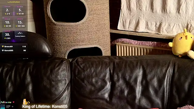 GamerGirl_Eve webcam