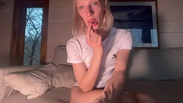 AliceSnowCatt webcam