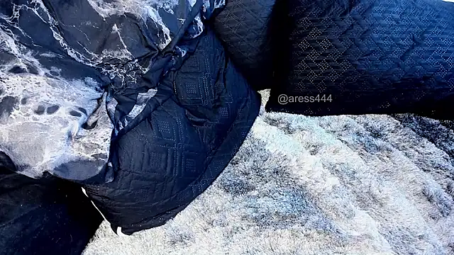aress_damon webcam