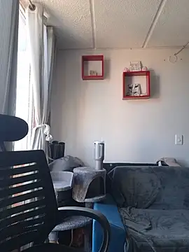 seijaku_ webcam